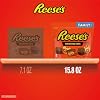 REESE'S Miniatures Milk Chocolate Peanut Butter Cups, Candy Family Pack, 15.8 oz