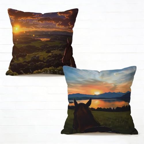 �N�b�V�����J�o�[ 45x45 cm 2���Z�b�g ���v ���z�c�J�o�[ 45 x 45 �\�t�@�[ �N�b�V���� ���� �l�C ���O �N�b�V���� �n �������J�o�[ �l�p HD���ʈ�� ���_�� �B���t�@�X�i�[�t���C�t�ăR���N�V���� �K�p�Ώ� �ƒ� �I�t�B�X �֎q �x�b