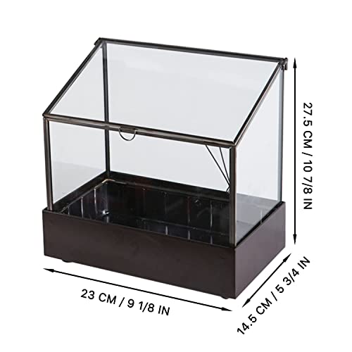 Vellon Large Glass Plant Terrarium For Fern Moss Foliage Succulent Bonsai Air Plants, Indoor Greenhouse, Black, 9.1 X 5.75 X 10.8” #TOP3