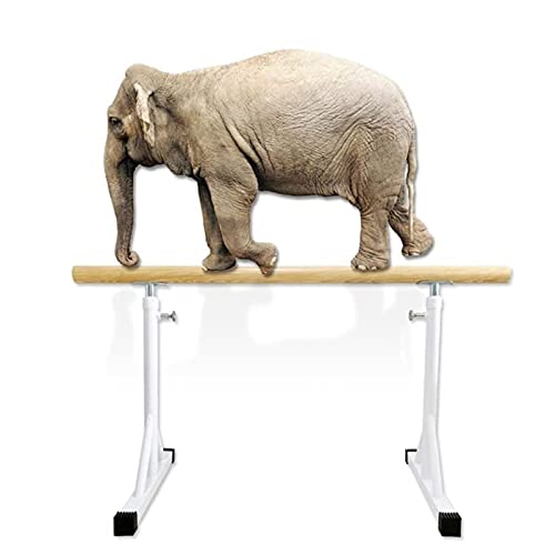 Ballettstange, tragbar, für Zuhause, für Erwachsene und Kinder, verstellbare einzelne Ballettstange, freistehende Stangenausrüstung, perfekt für Übungen, Balance, Gebäudekern – Weiß (Größe: 1,5 m)