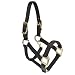 Intrepid International Nylon Miniature Horse Halter, Black, Mini