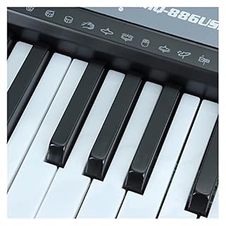 Clavier Piano 61 Touches Clavier De Clavier Multifonctionnel Numérique Eletronic Organ avec Microphone pour Débutant… - Les Beatles, Paul McCartney, John Lennon, RIngo Starr, George Harrison Clavier Piano 61 Touches Clavier De Clavier Multifonctionnel Numérique Eletronic Organ avec Microphone pour Débutant… – Image 3