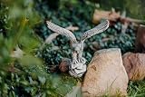 gartendekoparadies.de Figurka orła z odlewu kamiennego, wysokość 32 cm, rozpiętość 35 cm, 4 kg, czarna patynowana, odporna na mróz