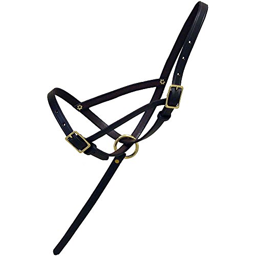 Intrepid International Coronet Halter – Leather Foal Slip with Grab Strap