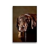 Toile textile de qualité supérieure - 30 cm x 45 cm - Simba - Labrador x Rottweiler-Mix - 4 ans - Image murale sur châssis - Impression sur toile - Animaux CALVENDO