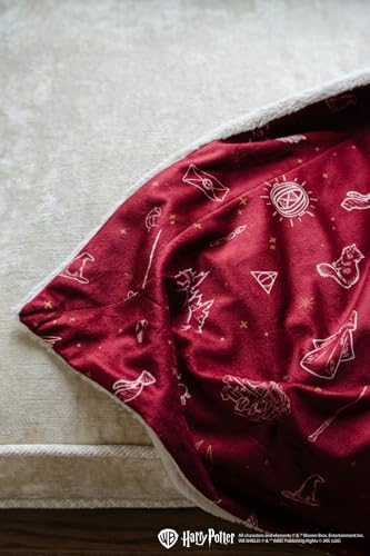 Image of Saranoni Minky Lush Harry Potter Icons Baby Blanket | Harry Potter Gift | Buttery Touch Soft Blanket Poly Microfiber - Durable & Easy to Wash | Mini - 15 inch x 20 inch