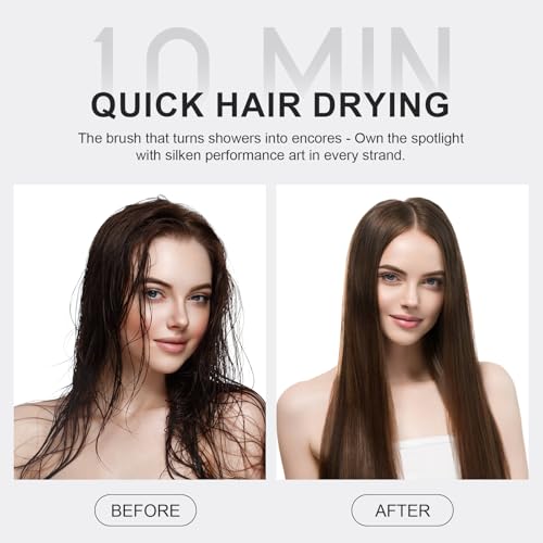 Image of Dual Voltage Hair Dryer Brush 110-240V Travel Blow Dryer Brush in One