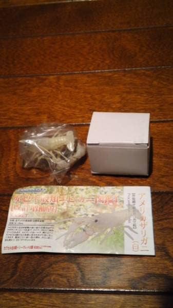 原色エビ カニ図鑑Ⅰ改訂増補版 アメリカザリガニ 白