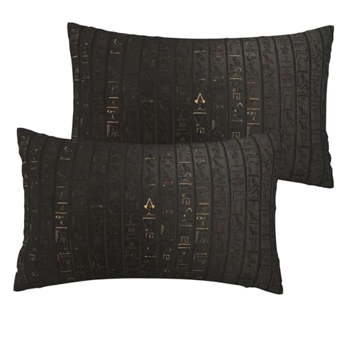 Funda de almohada de lino sintético con estampado de jeroglífico egipcio antiguo, 2 juegos de fundas de almohada suaves y duraderas de 12 x 20 pulgadas para sofá cama