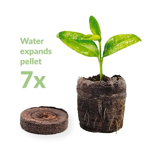 Image of 100 Count- Jiffy 36 MM Peat Soil Pellets Seeds Starting Plugs: Indoor Seed Starter- Start Planting Indoors for Transplanting to Garden and SUPERthrive Plant Vitamin Solution with Kelp, 4 Oz.