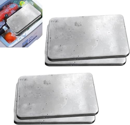 Citybaby保冷剤 長時間 強力 長持ち 最高な冷却用品 ステンレス製アイスパック 防災 長持ち再利用可 倍速凍結 & 驚異の保冷力 繰り返し使える 高耐久 2/4/6個セット (4つ)