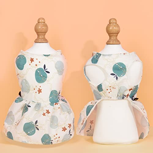 Yikeyo Dog Dress Puppy Clothes For Small Dogs Girl Yorkie Chihuahua Princess Lace Tutu Skirt Doggie Dresses Dog Summer Clothes Outfit (X-Small, Green) #TOP2