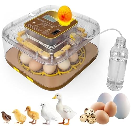 Gen IV - 12 Egg Fully Automatic Incubator, 2026 Upgraded Design, Intelligent Sensor-Based Humidity & Temp Control, Custom Hatch Days, Adjustable Auto Turning with Auto-Stop, 360° View, Alarm, Candler