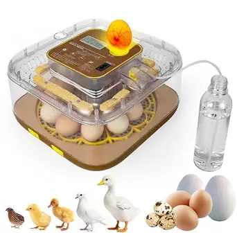Gen IV 12 Egg Fully Automatic Incubator with Intelligent Sensor Control