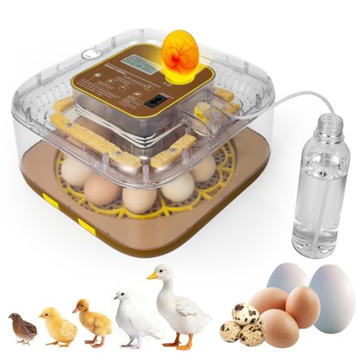 Gen IV - 12 Egg Fully Automatic Incubator, 2026 Upgraded Design, Intelligent Sensor-Based Humidity & Temp Control, Custom Hatch Days, Adjustable Auto Turning with Auto-Stop, 360° View, Alarm, Candler by GleeGearNex - Used condition - US$28.79
