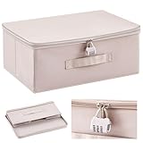 Briwooody Discreet Lockable Toy Bag Storage Organizer Toy Bag Storage Bins Case with Zipper Lid for Women and Men Clothes Container(Light Purple,15 x 10 x 6.3 Inch)
