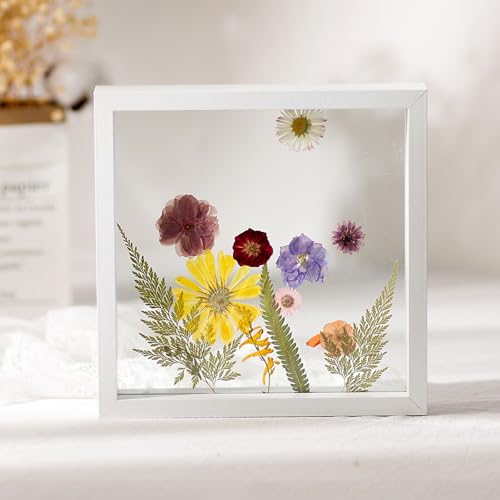 Cornice flottante doppia, cornice per foto flottante a doppia faccia, formato A4, multicolore (bianco, A4)