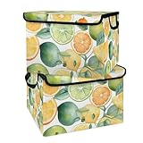 Folding Storage Boxes with Sturdy Handles Touch Fasteners Lidded Storage Baskets for Clothing Toys Lime Fruit Storage Bins