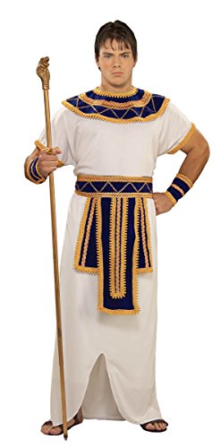 Forum Novelties Men's Ancient Egypt Prince Of The Nile Costume, Multi, Standard