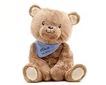 Lilly's Love Benji the Bear, 4.5lb Weighted Stuffed Animal | Sensory Companion for Kids and Adults | Machine Washable with Removable Inner | Great Gift