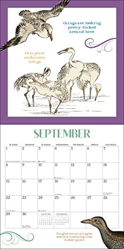 Effin' Birds 2024 Wall Calendar