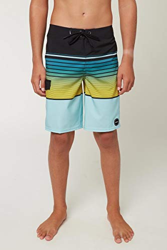 O'NEILL Lennox Stretch Boardshorts2