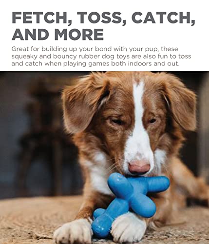 Charming Pet Latex Rubber Balloon Dog Squeaky Dog Toy, Large #TOP3