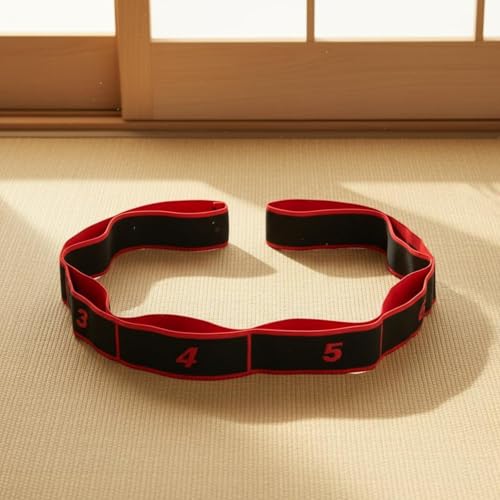 HEAVENGLOW Store Meadawgs Taekwondo Kick Band Red - Image 5