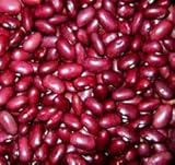 北海道産 大正金時豆 500g