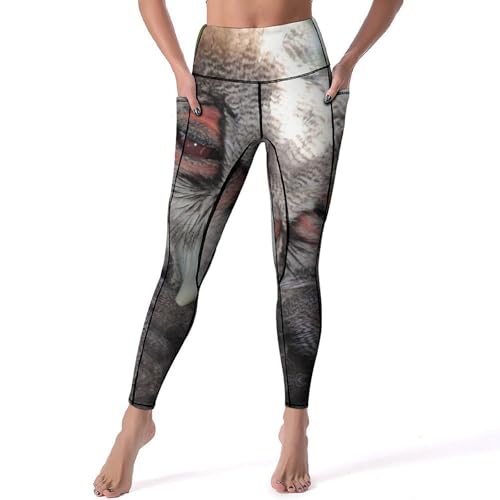 Legging fitness Chouette taille haute galbante pour gym et jogging
