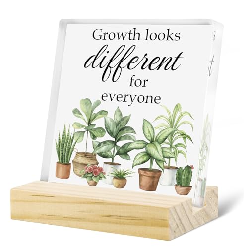 Motivational Acrylic Desk Decor for Women and Men