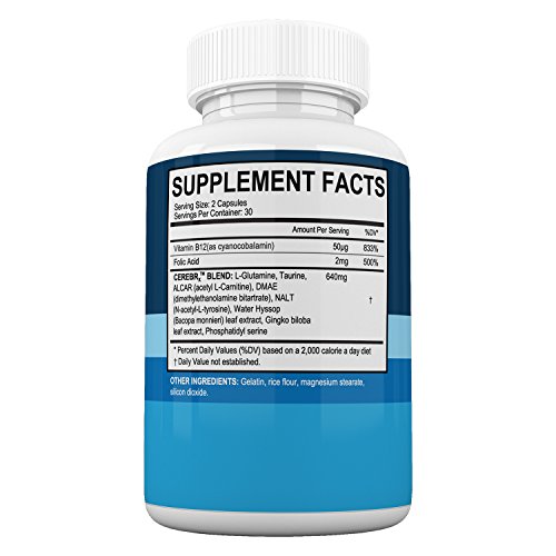 Rejuva Brain- Advanced Cognitive Support- Enriched W/L-Glutamine & Bacopa Monnieri To Support Cognitive Health And Ability #TOP2