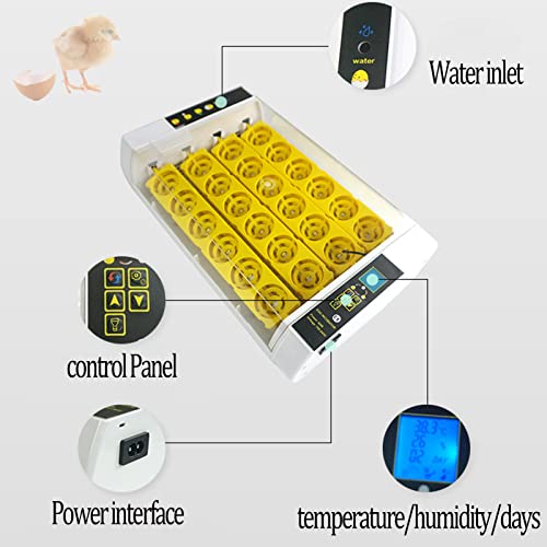 ZQWOZQ Automatische Eggs Brutmaschine, Intelligent, Konstanttemperaturregelung Inkubator Für 24 Eier, Klein Heimat… – Bild 6