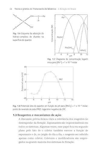 Teoria e prática do tratamento de minérios 4 - A flotação no Brasil