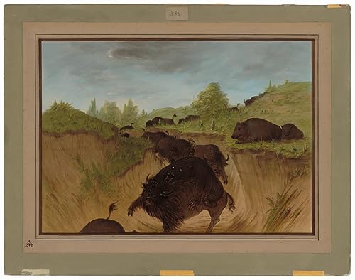 Impression toile George Catlin grizzlis pour une décoration de salon sauvage