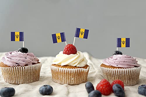 JBCD Barbados Toothpick Flag Barbadian Mini Small Cupcake Topper Flags, 200pcs by JBCD - Used condition - Image 5