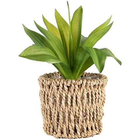 Realistic Artificial Succulent Indoor Houseplant Seagrass Plant Pot Shelf Decor Cover