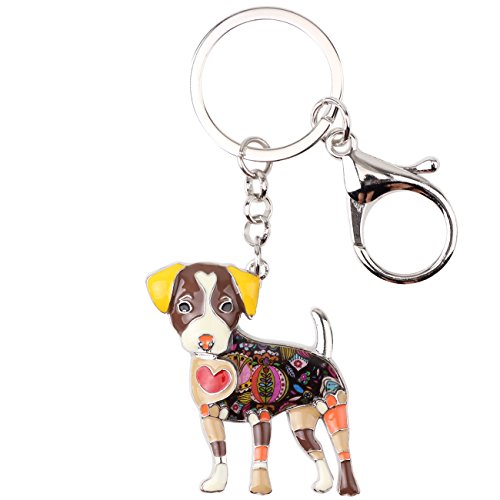 Dimensioni del cane: 50 mm x 50 mm, circa 1,97