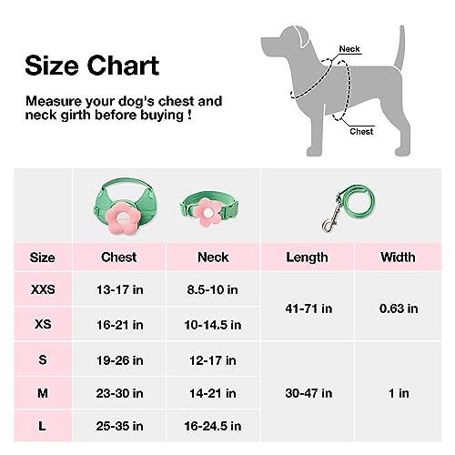 VETRESKA Flora Dog Harness, Leash and Collar Set, No Pull Dog Vest Harness for Walking and Training, Adjustable, Easy Control and Soft Padded Pet Harness and Backpack for Small Medium Large Dogs, XS