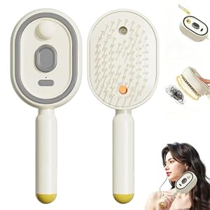 Elektrische Sprüh-Luftkissenbürste für Damen, 2-in-1 Kabellos Entwirrungsbürste mit integriertem Sprühnebel, Verhindert Haarziehen, Wiederaufladbare tragbare elektrisch Haarbürste (Beige)