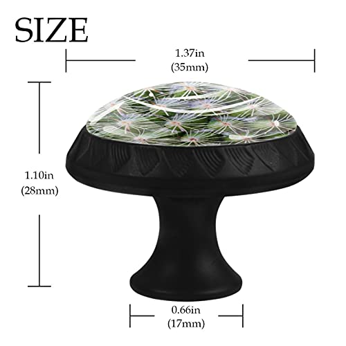 Boutons de tiroir cactus pour remplacer les poignées ternes de commode - 5
