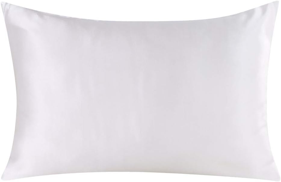Natural Mulberry Silk Pillowcase for Hair and Skin Standard Size with Hidden Zipper, Ultra Smooth and Soft Breathable Cooling Silk Pillow case, Gifts for Women Men, 1pc (Silver, 20"X 26")
