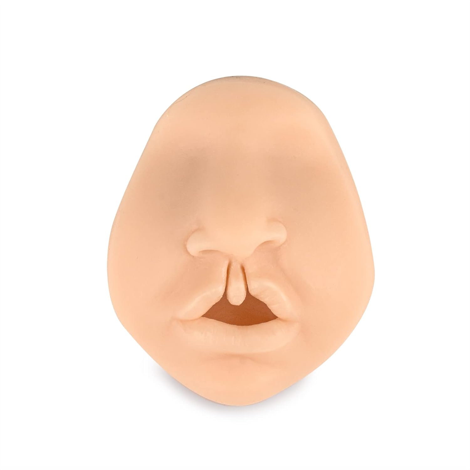 Bilateral Cleft Lip Model, Cleft Lip Suture Training Simulator for Medical Students, Education, Display