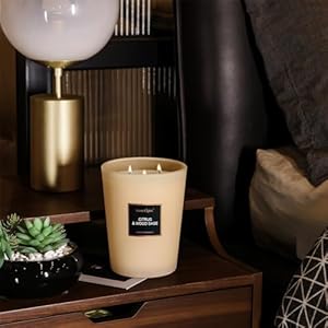 HomeLights Scented Candles, Candles for Home Scented, Large Jar Aromatherapy Candles, Natural Soy Wax, 130 Hours Long Burning Candles Gift, Citrus & Wood Sage HomeLights Scented Candles Candles for Home Scented Large Jar Aromatherapy Candles Natural Soy Wax 130 Hours Long Burning Candles Gift Citrus Wood Sage