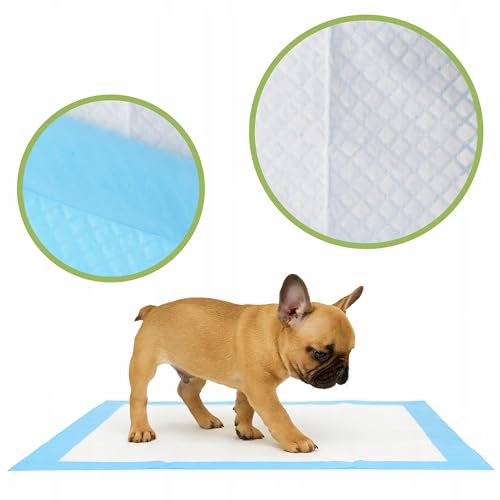 KRUMAD Trainingspads für Hunde, 50 Stück, 6-Schichten, PIPI Matten für Hunde, Trainingsmatte für Welpen, Inkontinenzunterlagen, Wasserdicht, Hunde Zubehör, 60 x 60 cm