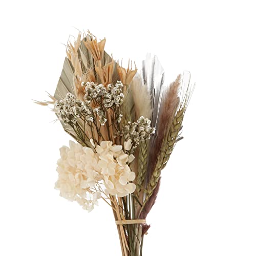 Gazechimp Decoração De Flores Secas, Arranjos De Folhas E Plantas Para Decoração Vaso De Decoração D