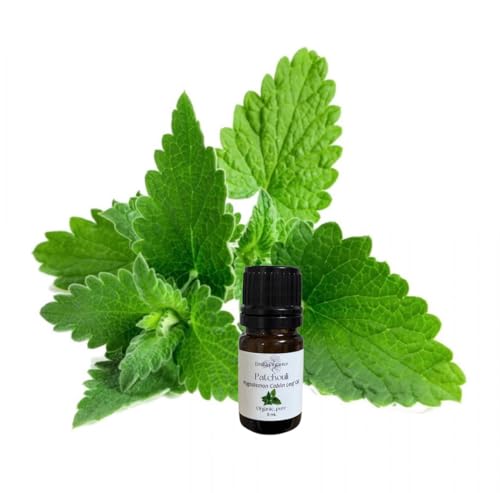 Aceite Esencial de Patchouli Orgánico Puro 5 mL miniatura 1