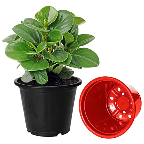 Image of Kuber Industries Durable Plastic Flower Pot|Gamla for Indoor Home Decor & Outdoor Balcony,Garden,6 inchx5 inch,Pack of 3 (Green,Red,Black)