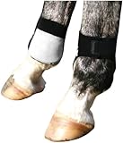  Professionals Choice Reitstiefeletten hinten, Paar, Universalgröße, Schwarz