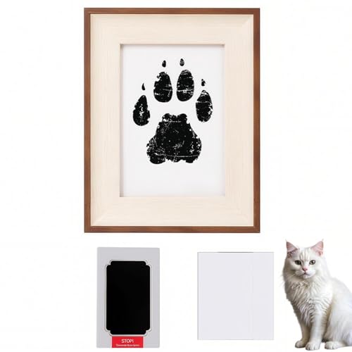 Lifetips ^[LbVo Turkish Van ybgp  X^v Lbg ^  ``X^v `쐬Lbg LO  Ȃ `    ` ^ ȒP S y Ճpbh IWi vg 